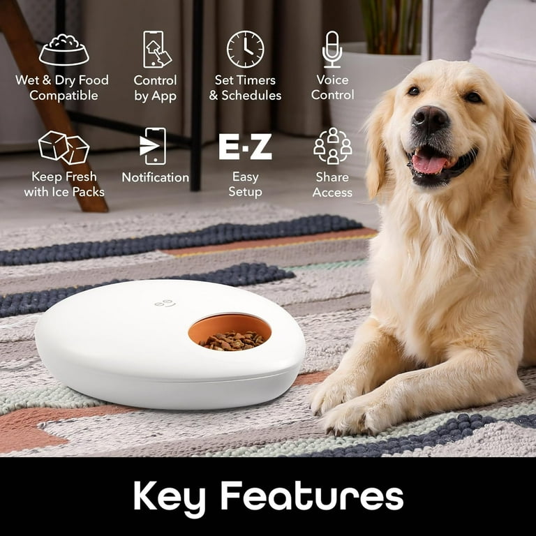 Google home dog feeder 2025