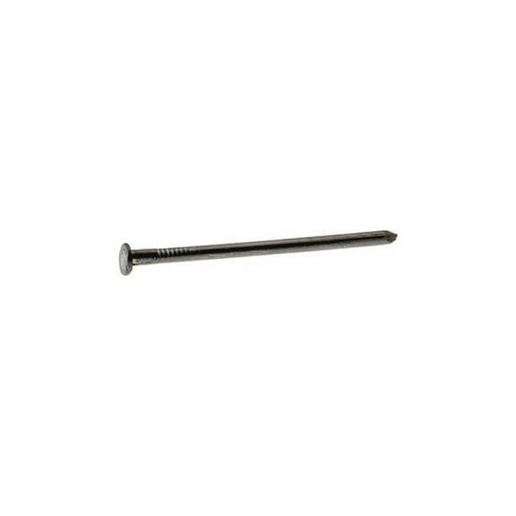 3 in. 10D Common Bright Steel Flat Head Nail, Gray - 30 lbs