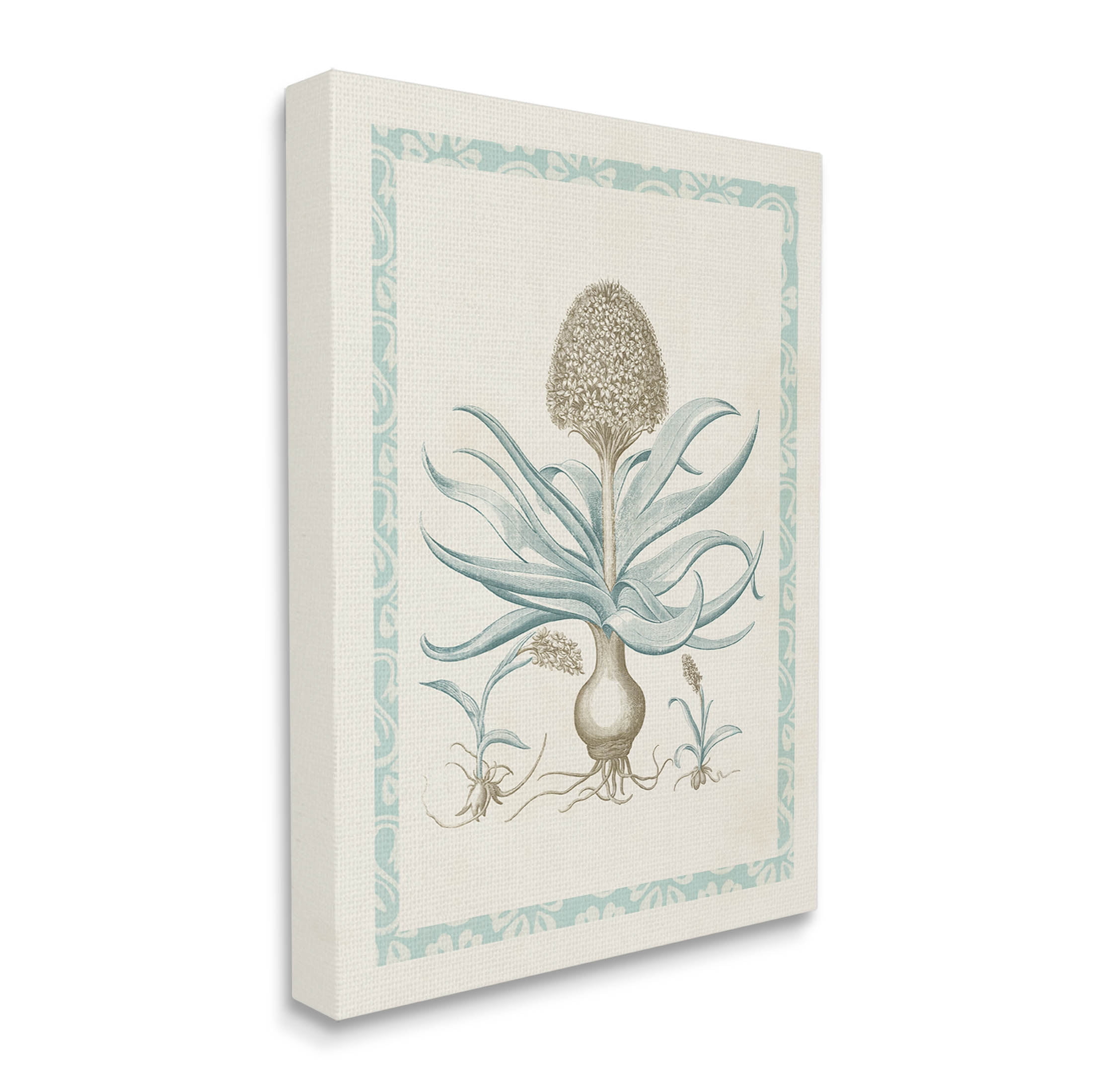 Stupell Industries Botanical Latin Study Plant Graphic Art Gallery Wrapped Canvas Print Wall Art, Design by Vision Studio