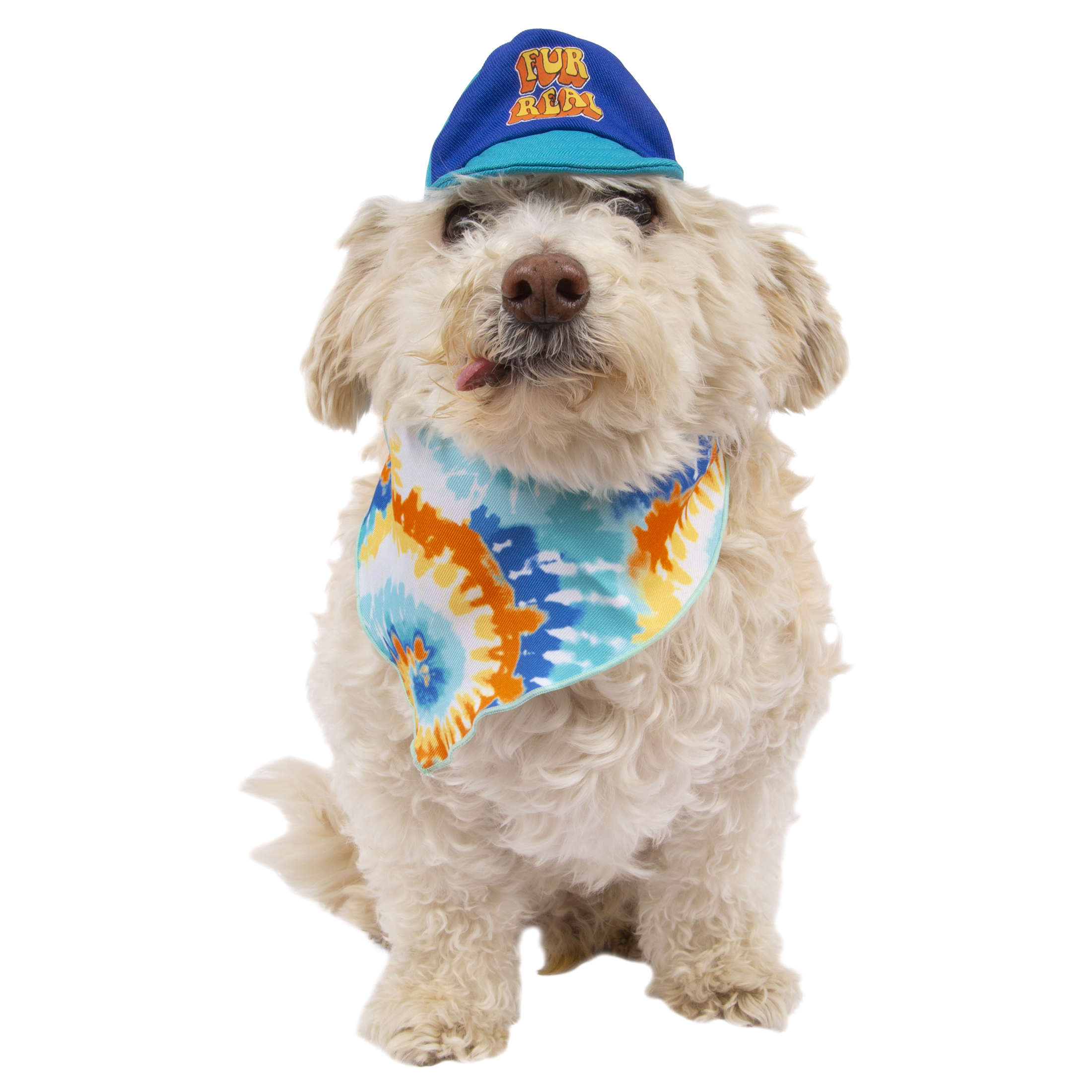 Vibrant Life, Dog Clothes, Tie Dye Swirl Pet Hat and Bandana Set, Multi-Color, O/S