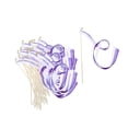 thumbnail image 4 of 30x varitas de Hada de palo, varitas con cinta de seda, varitas con borlas, juguete interactivo para gatos, varitas de deseos, de seda , B B, 4 of 8