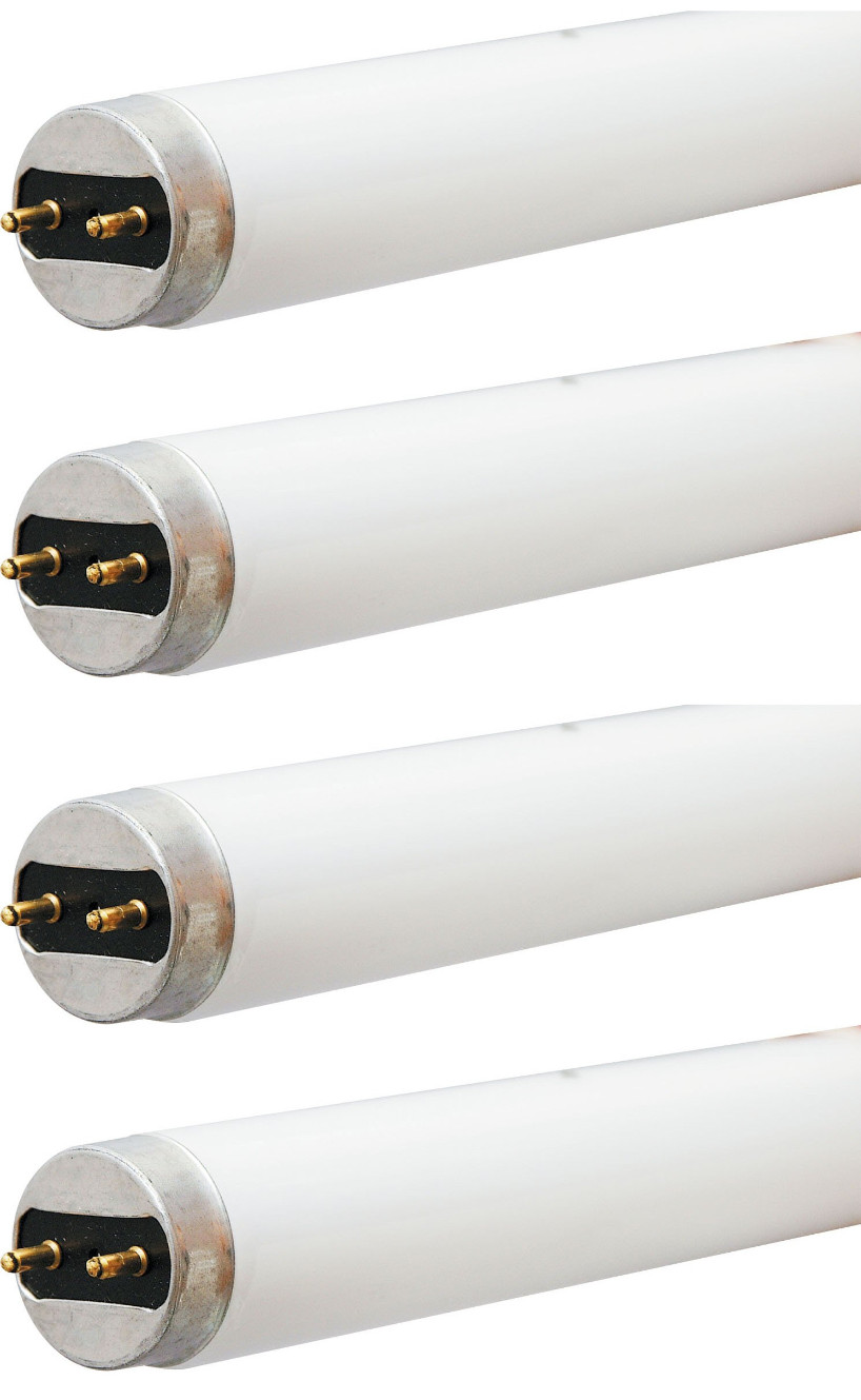 (4 tubes) GE 42064 F32T8/SPX50/ECO Straight T8 Fluorescent Tube 5000K