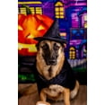 thumbnail image 4 of Midlee Halloween Witch Cape and Hat Dog Costume (XX-Large), 4 of 7