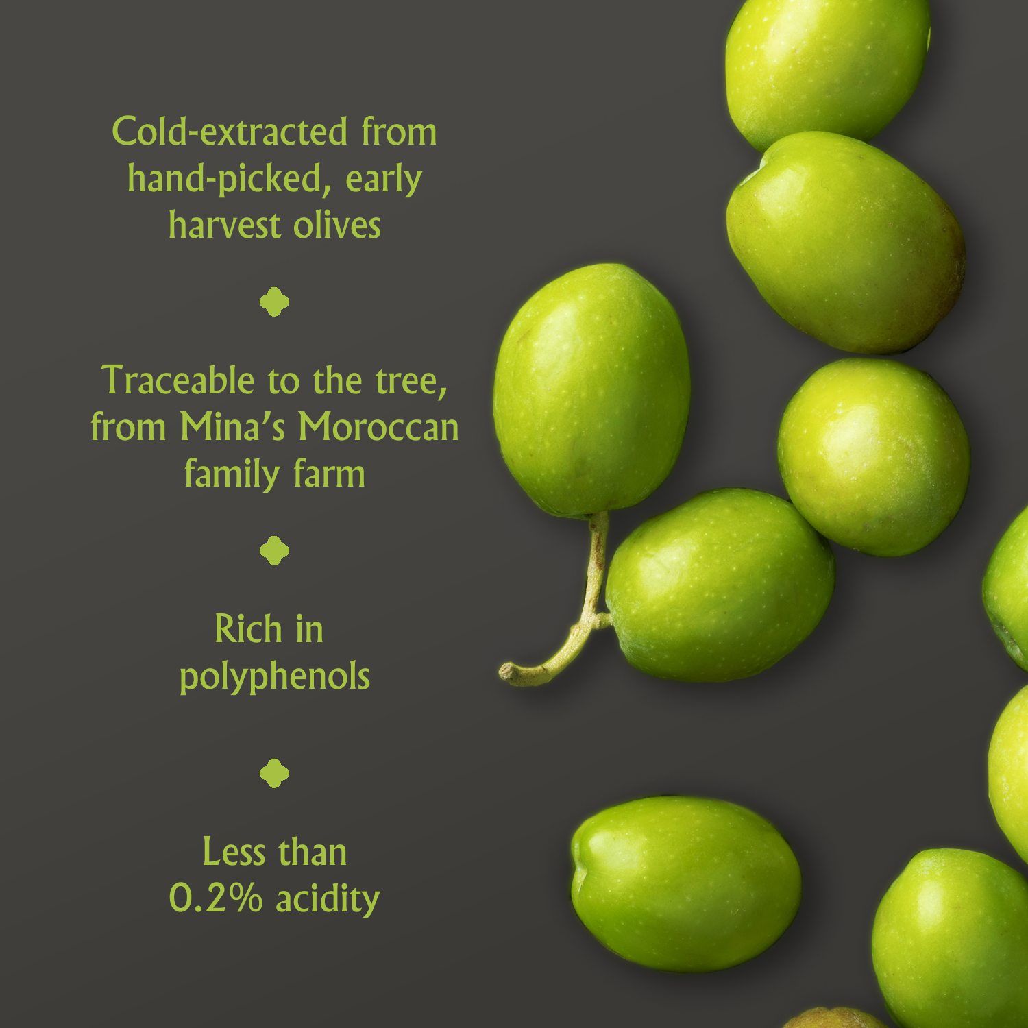 Mina Moroccan Extra Virgin Olive Oil, 169 fl oz, Cold Extracted, High Polyphenol, Single Origin also Great for Cooking