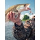 thumbnail image 5 of Underspin Fishing Jig Heads Crappie Jigs 25 Piezas Ojos 3D para Panfish Bass, 5 of 9