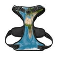 thumbnail image 5 of Bingfone Earth View World Map No Pull Dog Vest Harness For Small Medium Large Dogs Strap For Puppy Walking,Training,Dog Harness-Small, 5 of 9