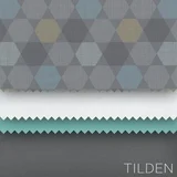 Tilden