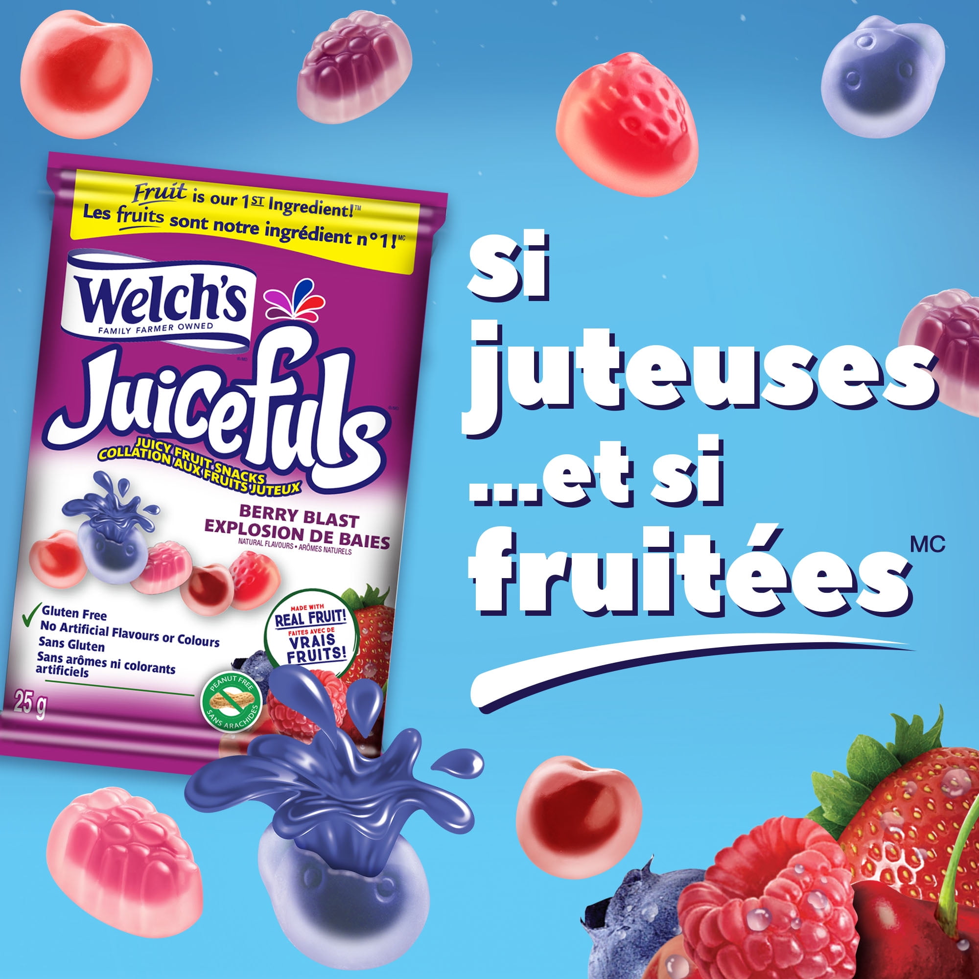 Welch's 6CT WCHS JFLS BB - FRENCH 6CT WELCHS JFULSBB