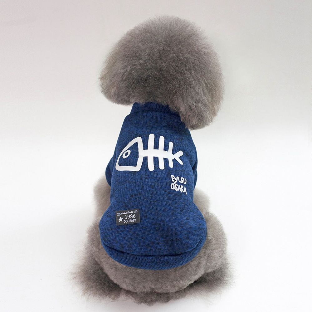 Blue fish teddy coat clearance