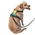 thumbnail image 3 of XMXY No Pull Dog Harness, Hand Painted Abstract Watercolor Adjustable Reflective Pet Harness with Oxford Vest, X-Large Size, 3 of 8