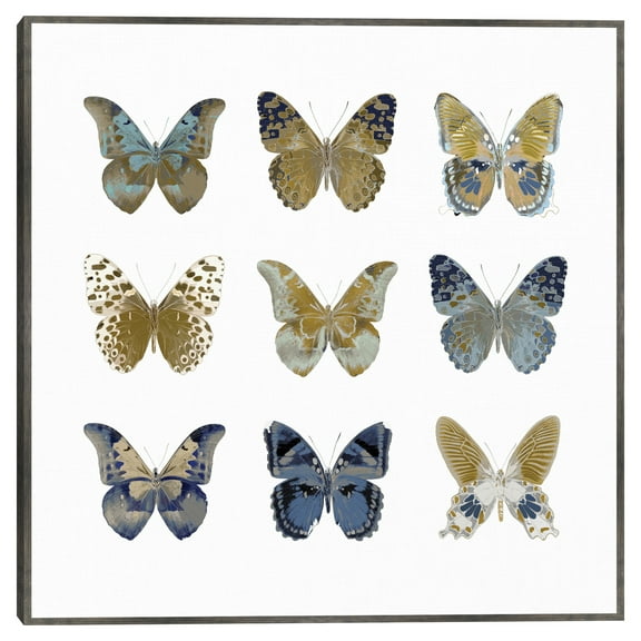 Butterfly Study I by Julia Bosco Framed Canvas Art Print