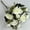 White, variant on Chanana Artificial Peonies Rose Flowers Fake Roses Silk Hydrangea Berry Bouquet 12.6 Inch Faux Flowers for Bridal Wedding Party Floral Home Decoration Table Centerpieces(White)