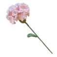 thumbnail image 1 of Regalos de cumpleaños con claveles de flores artificiales, para San Valentín, bodas, aniversarios, cumpleaños, regalos únicos para citas, 1 of 6