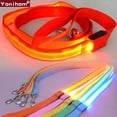 thumbnail image 5 of Reflective LED Dog Leash, 5 of 6