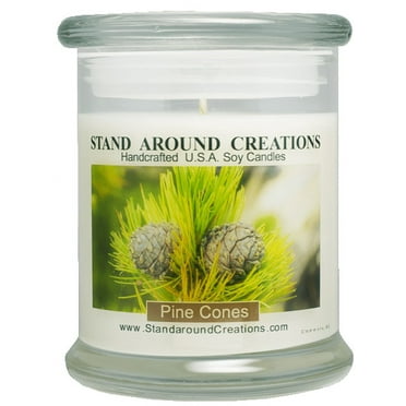 PINE CONES STATUS 12-OZ. ALL NATURAL SOY CANDLE