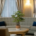 thumbnail image 7 of Faux Fiddle Leaf Fig Tree, 7 of 7