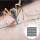 thumbnail image 4 of Heater Mat Bug Repellent Refills 300-Pack Thermacell, 4 of 4