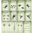 thumbnail image 2 of Sellos de silicona transparente para Halloween, Navidad, flores de elfo, para manualidades, álbumes de recortes, tarjetas, sellos, laviniastamp, 2 of 5