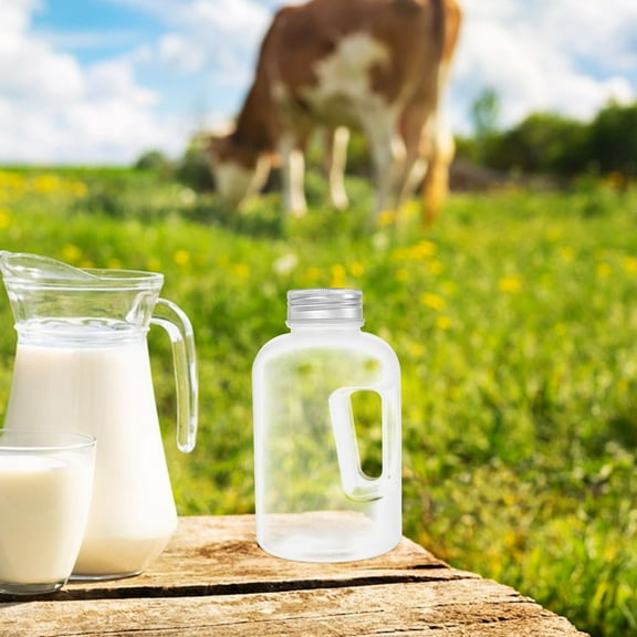 Masteelf 4pcs Clear Plastic Juice Bottles with Lids Milk Carton Shaped Water Bottles Transparent Reusable Milk Containers for Office School 750ml
