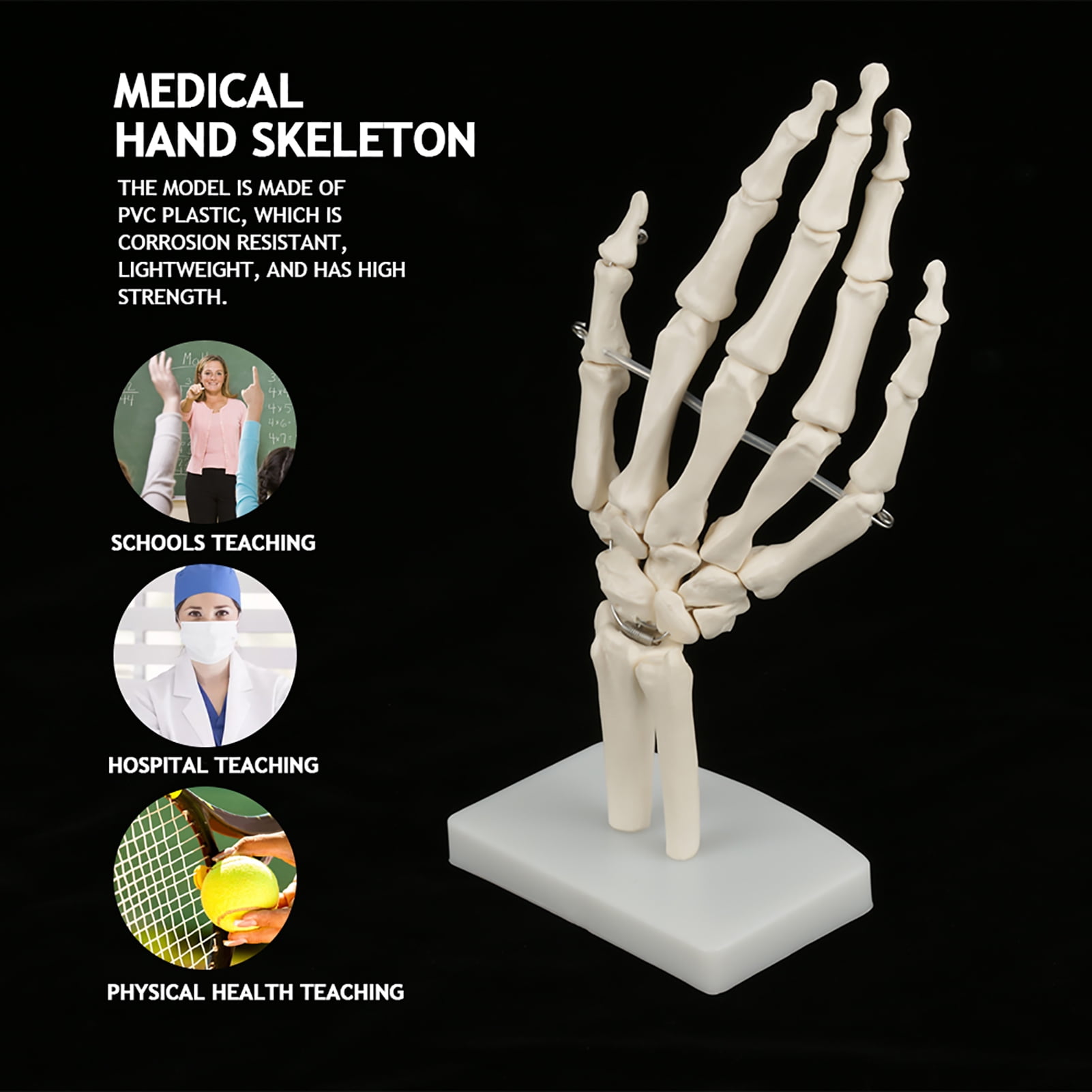 Life-size Anatomical Hand Model, Educational Hand Skeleton, For Schools