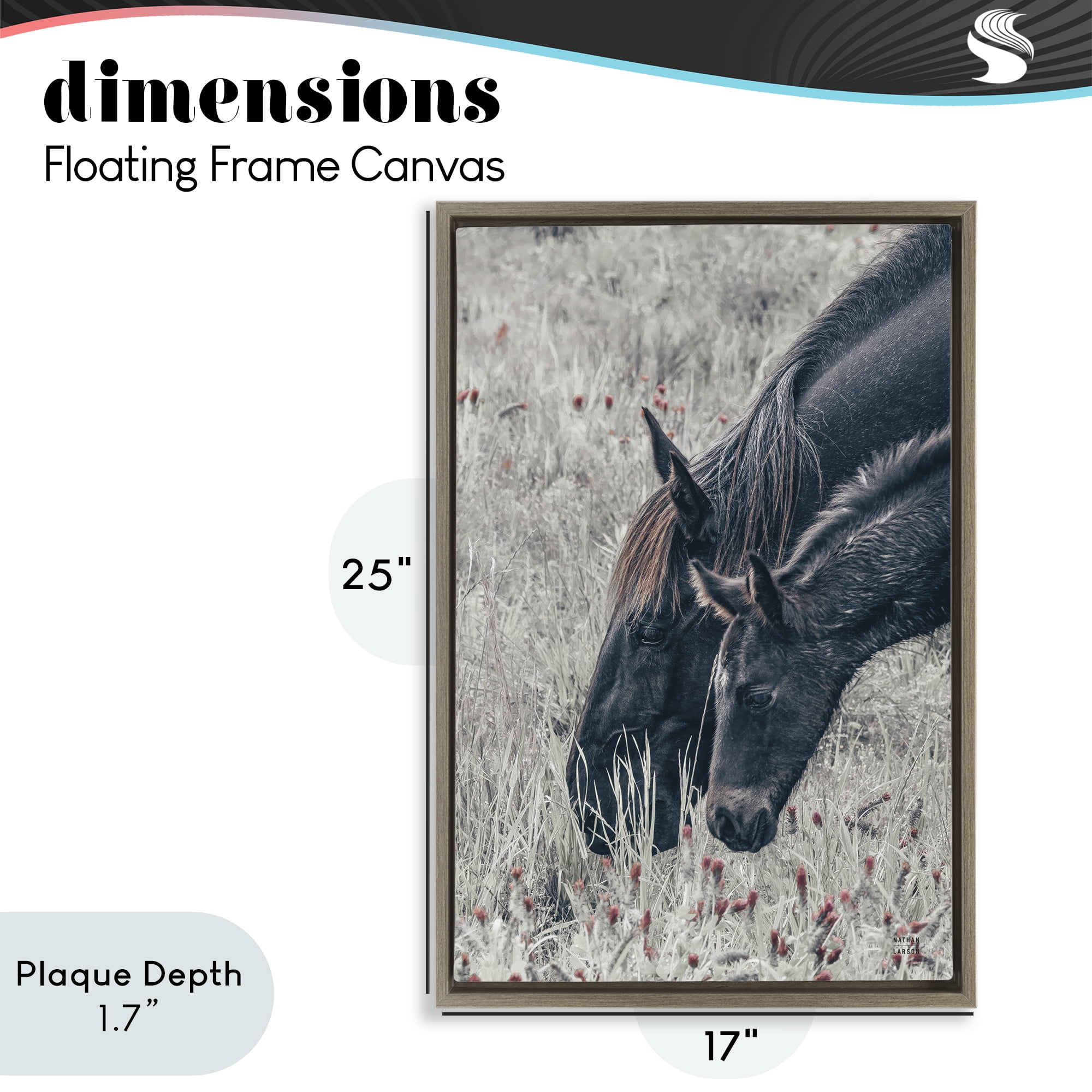 Stupell Industries New Graze Horses in Meadow Brown Framed Floater Canvas Wall Art, design by Nathan Larson