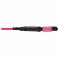 thumbnail image 4 of Eaton Tripp Lite Series 100G Multimode 50/125 OM4 Fiber Optic Cable [12F MTP/MPO-PC F/F], OFNP, Magenta, 2 m [6.6 ft.], TAA (n845b-02m-12mta), 4 of 5