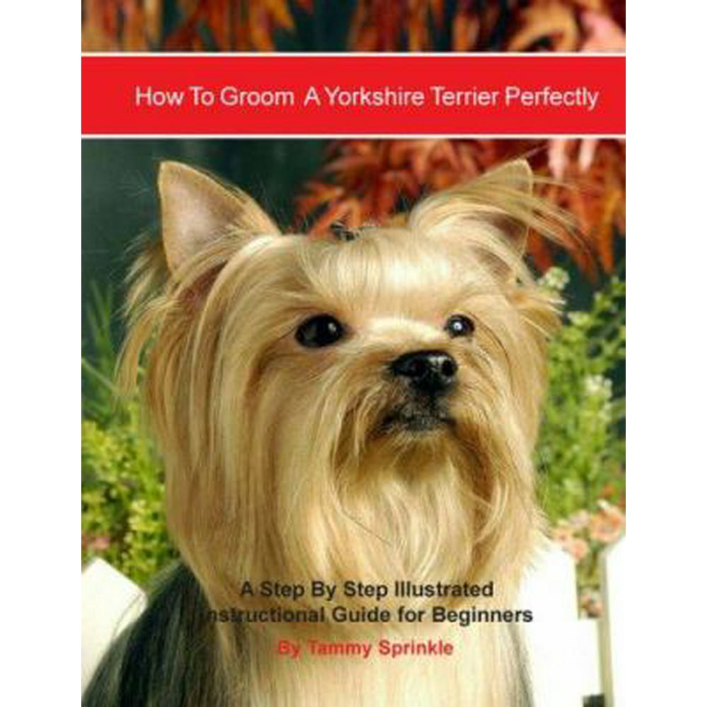 How to Groom A Yorkshire Terrier Perfectly An Illustrated Instructional Guide for Beginners
