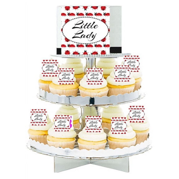 Little Lady Lady Bug Edible Photo Toppers & Edible Cupcake Decoration Kit