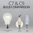 thumbnail image 5 of Wintergreen Lighting Clear C7 Shatterproof LED String Lights Holiday Lightings, 2" (25 Count), 5 of 6