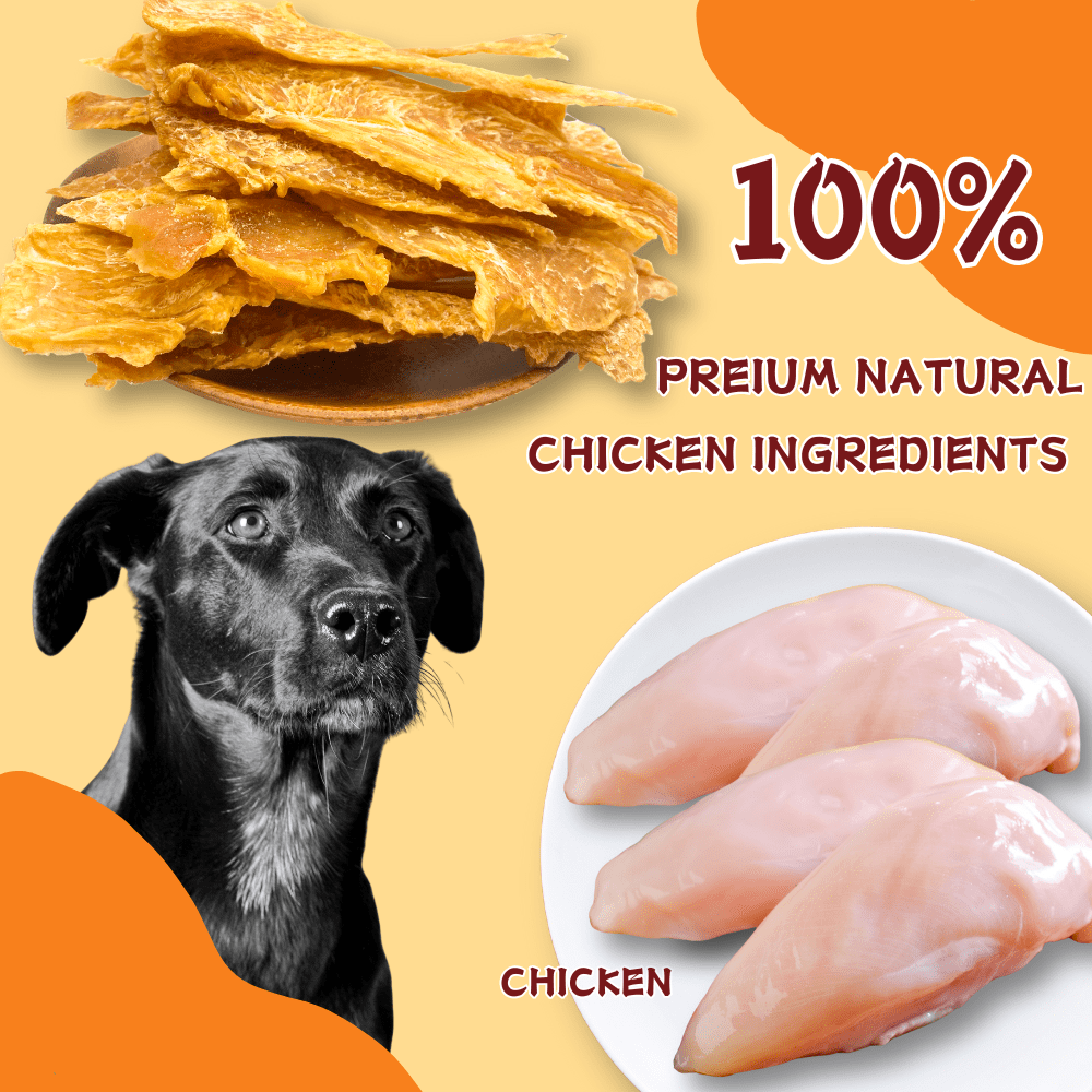 (3 Pack)ComfyCradle Air-Dried Chicken Jerky, Natural High-Protein Dog Treats, 15.87 oz