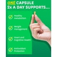 thumbnail image 4 of Zenwise Health Green Tea Extract with Green Coffee Bean Extract - Vegan Skin & Heart Support + Brain Health & Memory Boost - 60 Count, 4 of 6