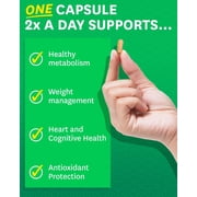 Zenwise Health Green Tea Extract with Green Coffee Bean Extract - Vegan Skin & Heart Support + Brain Health & Memory Boost - 60 Count