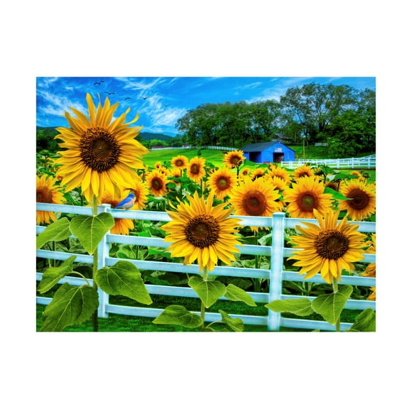 Canvas Wall Art - Celebrate Life Gallery 'Sweet Summer Sunflowers' Wall Art for Living Room, Bedroom, or Office Décor by Trademark Fine Art - 19 x 14 Inches