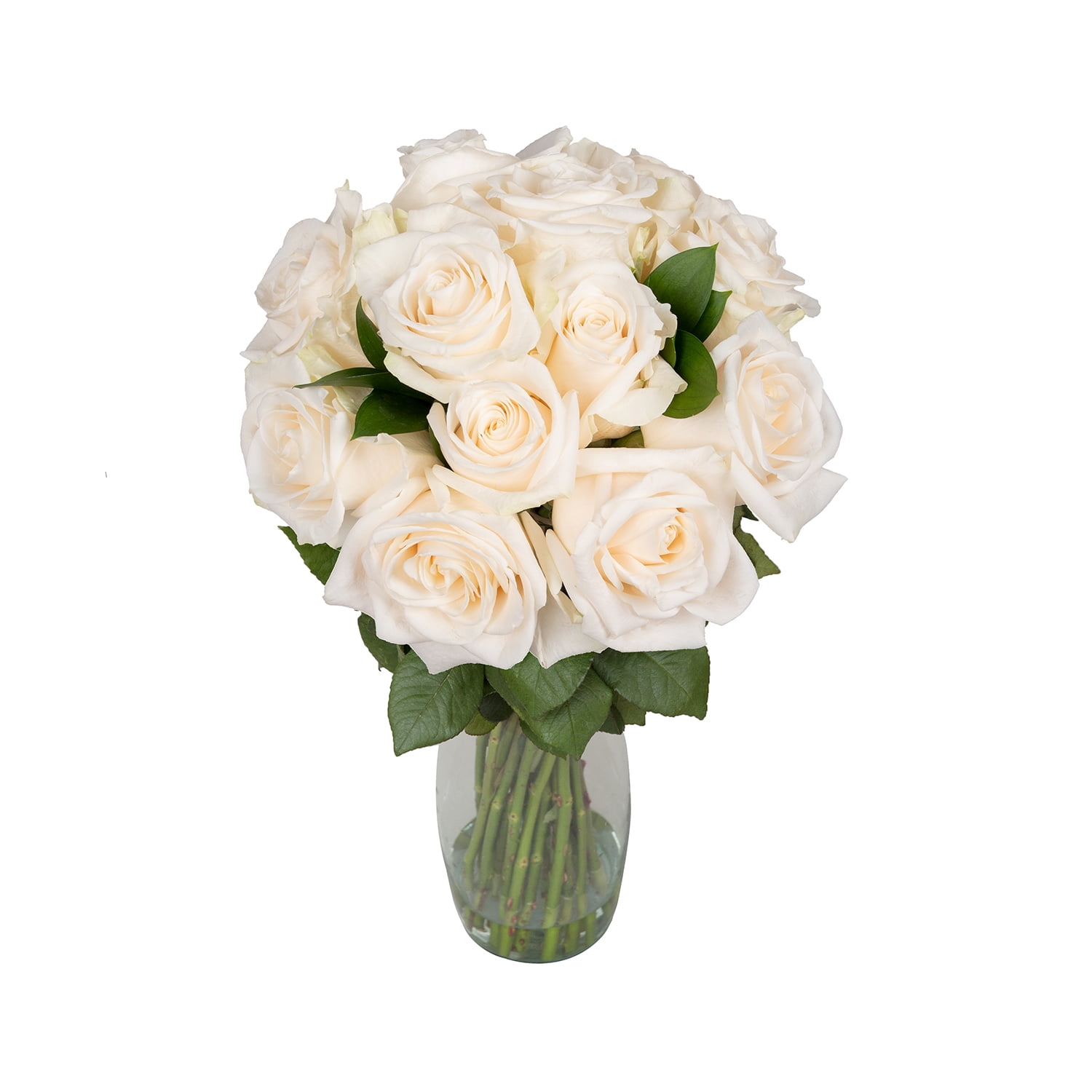 Purest Love Rose Bouquet 50 cm Fresh Cut 1 Pack