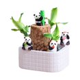 thumbnail image 1 of Brazilwood Easy To Grow Indoor Tabletop Hydroponic Planter Green for Home And, 1 of 6