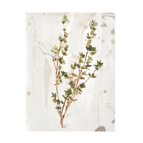 June Erica Vess 'Antique Earthtone Herbs II' Canvas Art