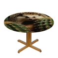 Autua Hedgehog Cactus Rocks Round Tablecloth Stain Resistant Washable