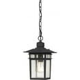 thumbnail image 1 of Nuvo 60/4956 One Light Hanging Lantern, UNKNOWN, Black, 1 of 2