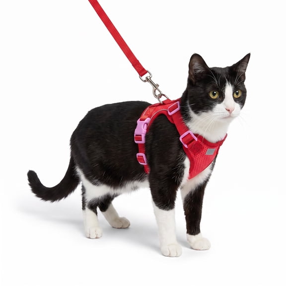 Petco Soft Cat Harness and Leash Set Red Small/Medium
