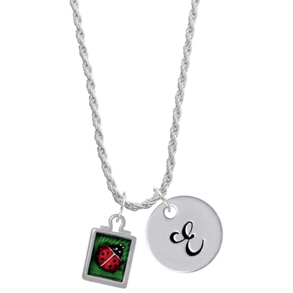 Delight Jewelry Silvertone Red Ladybug in Shadow Box Silvertone Script Initial Disc - E - Charm Necklace, 20" 3"
