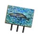 thumbnail image 1 of Gancho de pared "Treasures Sperm Whale Cachalot, triple" Caroline's Treasures BB5338TH68, 1 of 1