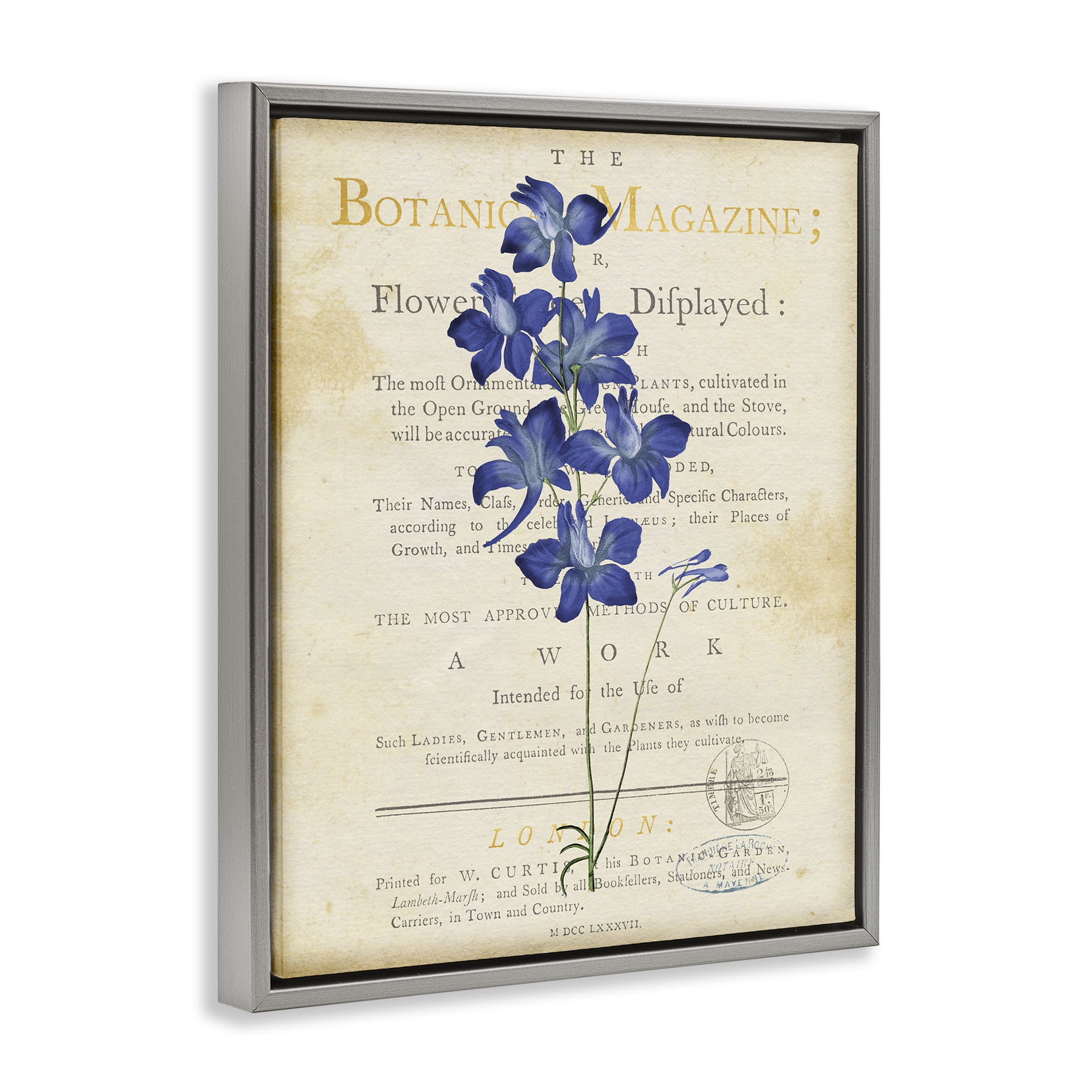 Stupell Industries Natural Botanic Garden Flower Gray Framed Floater Canvas Wall Art, design by Susan Arnot