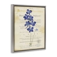 thumbnail image 2 of Stupell Industries Shabby Chic Natural Botanic Garden Flower Gray Floating Frame Canvas Art, 17 x 21, by Susan Arnot, 2 of 8