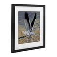 thumbnail image 2 of Stupell Industries Coastal Seagull Taking Flight Black Framed Print Under Glass, 13 x 13, by Violeta Vollmer, 2 of 8