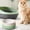 Green, variant on YHAICO Ceramic Constant Temperature Heated Pet Bowl,Winter Cats Drinking Ceramic Bowl,Food Winter Heated Dog Bowl for Feline Pets