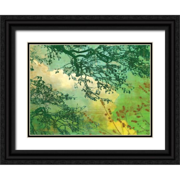 McMasters, James 32x25 Black Ornate Wood Framed with Double Matting Museum Art Print Titled - Branches and Clouds