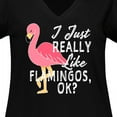 thumbnail image 4 of Inktastic I Just Really Like Flamingos Ok with Pink Flamingo Women's Plus Size V-Neck T-Shirt, 4 of 5