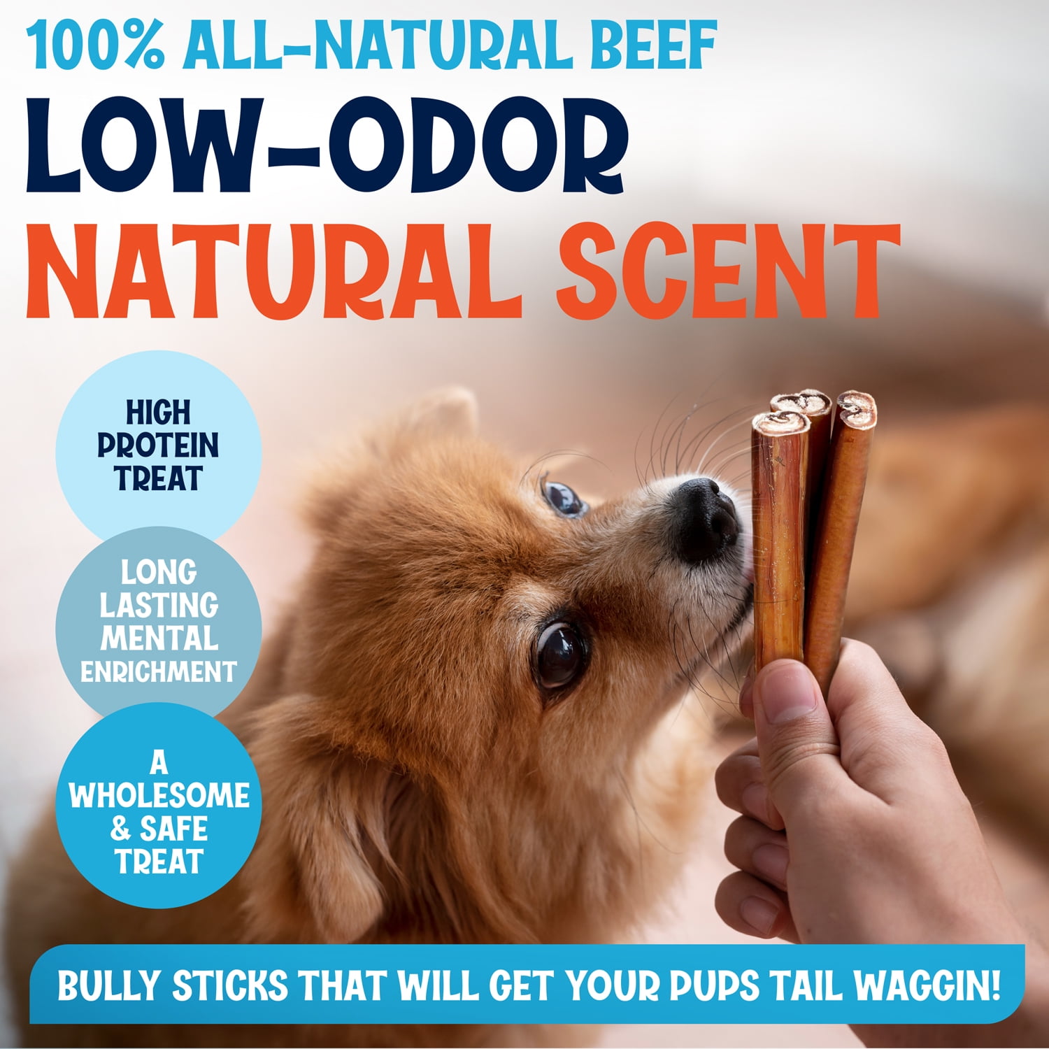 Fetcheroni Odor-Free Thin Bully Sticks for Dogs, 12 Inch, 10 Pack