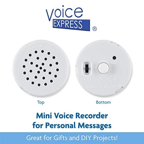 VOICEGIFT 20 Second Mini-Me Recorder VOICEGIFT