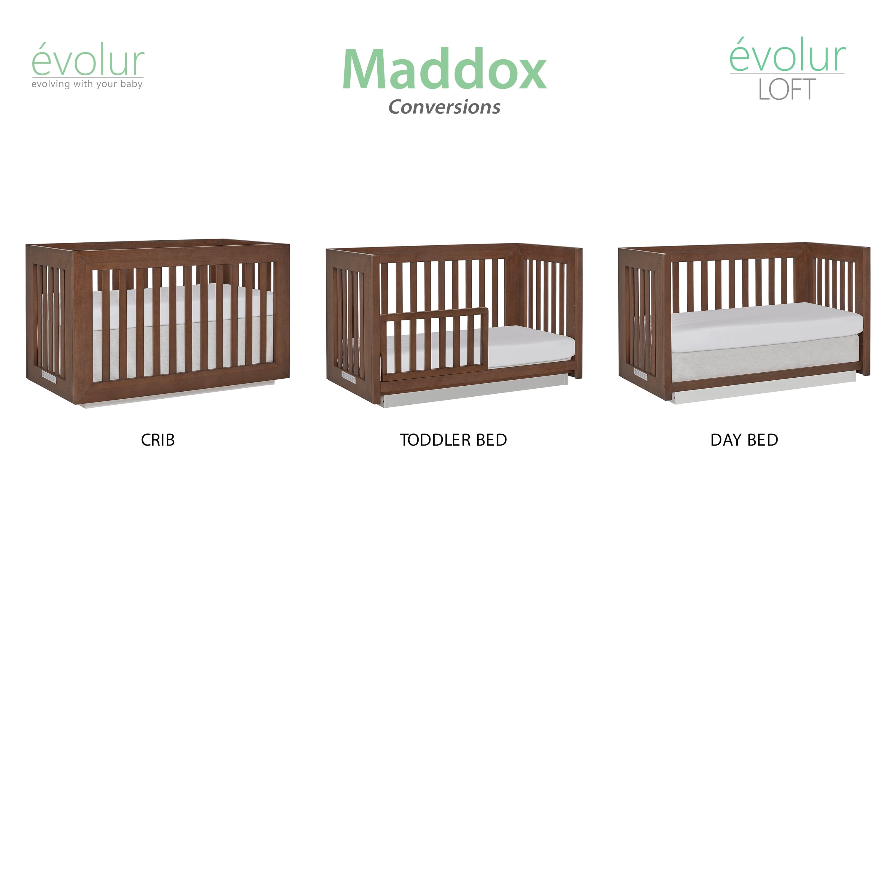 evolur maddox